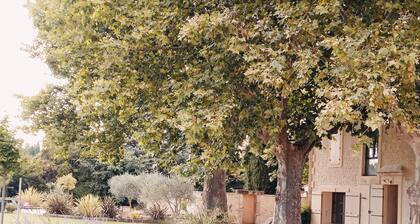 18th century gite mas in Provence with SPA