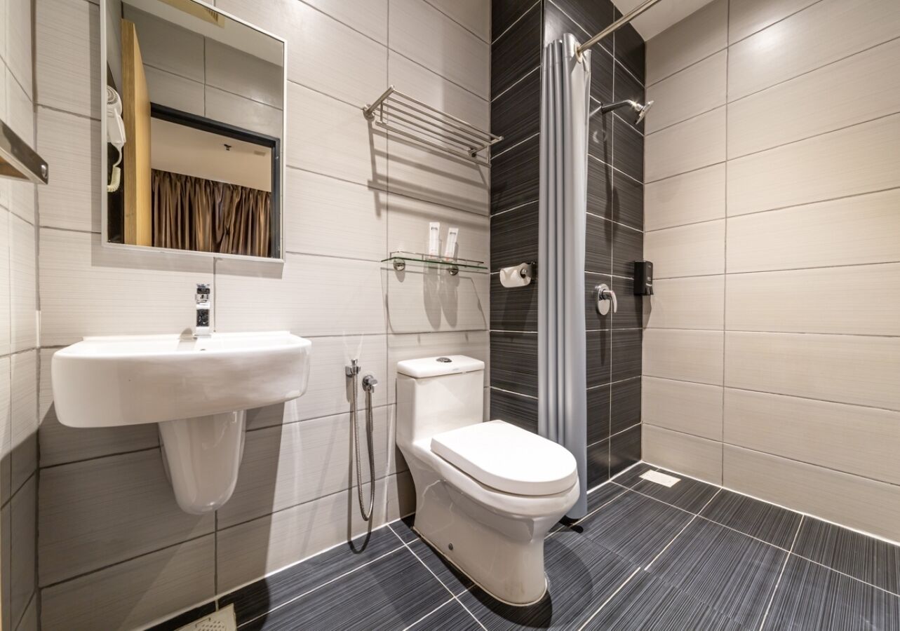shower, free toiletries, hair dryer, bidet