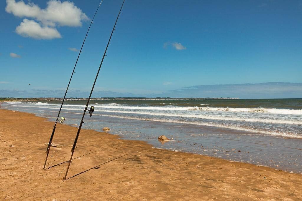 A beach with fishing rods and a clear view of the ocean.