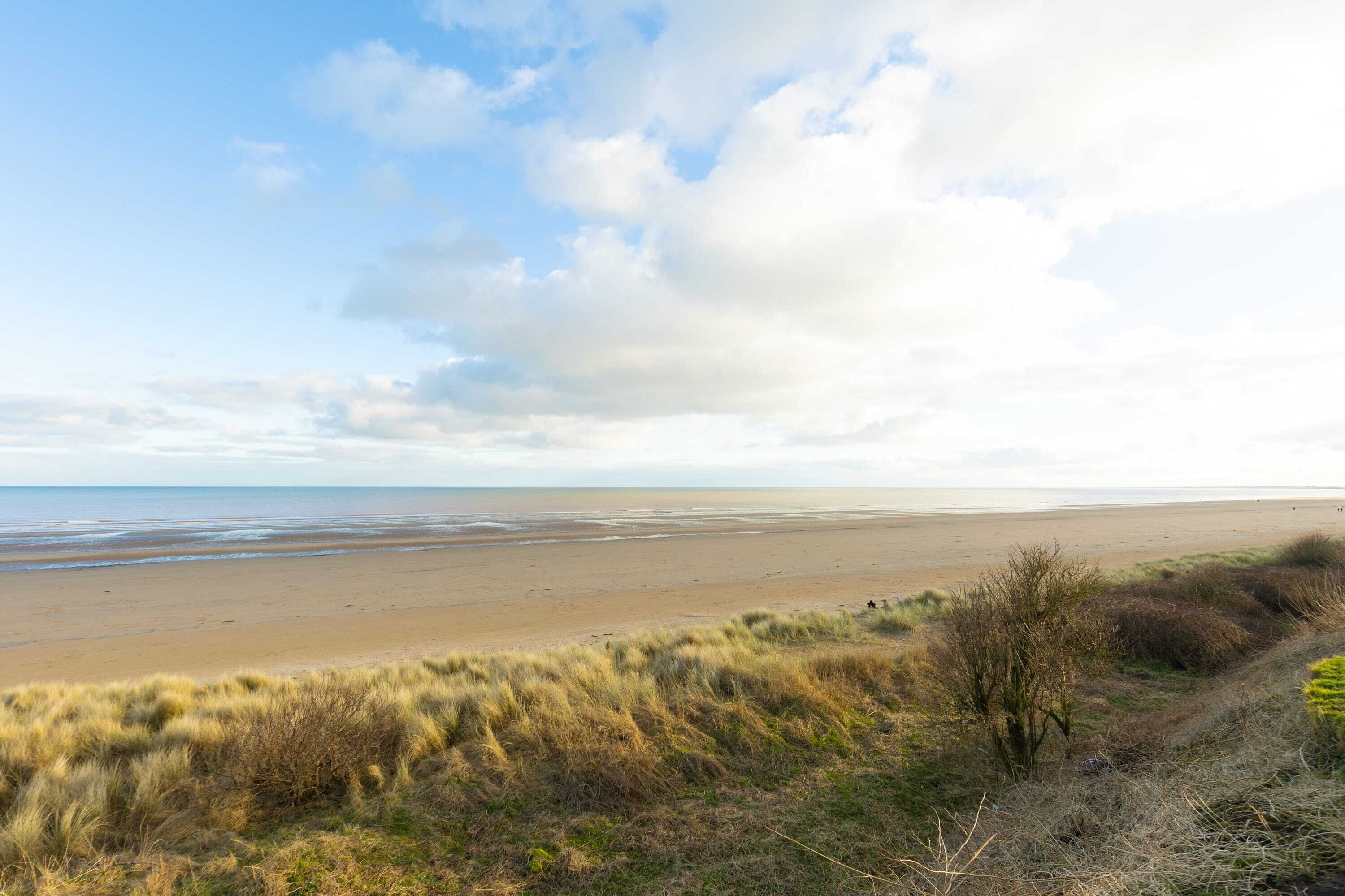 A beach with dunes and a clear sky.