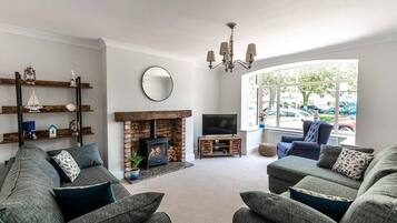 TV, fireplace, video games, books