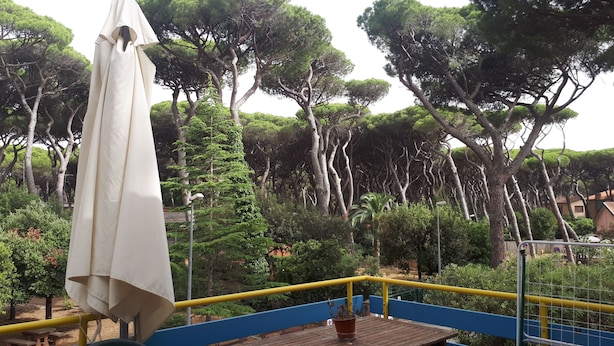 Una terraza con mesa y sillas, rodeada por una barandilla y vista a árboles altos.