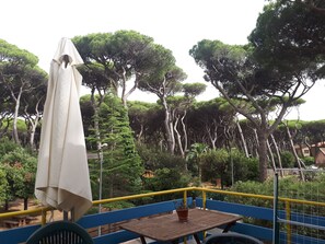 Restauration en plein air