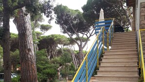 Una escalera de piedra con barandillas azules que lleva a la entrada de un edificio.