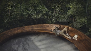 A curved wooden bench with a person lying on it.