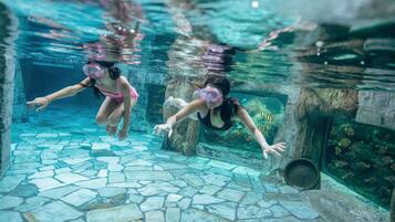 Indoor pool, outdoor pool, lifeguards on site