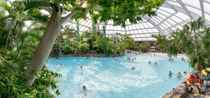 Hồ bơi trong nhà, hồ bơi ngoài trời, nhân viên cứu hộ trong khuôn viên 