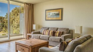 Smart-TV, DVD-Player