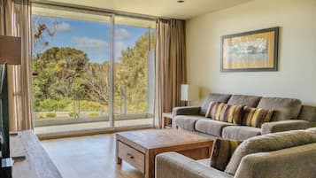 Smart TV, DVD player