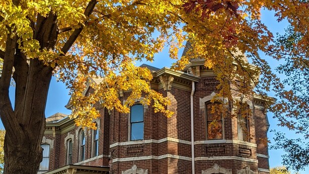A historic brick building with arched windows and a large tree with autumn leaves in front. - Immersion Experience Into a Fictional Magical World (Saint Joseph)
