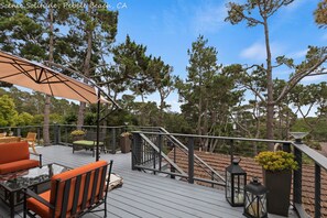 Unclassified image, 3 of 11, button