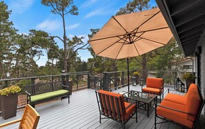 Unclassified image, 4 of 11, button