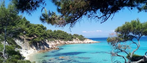 House, Multiple Beds | Beach