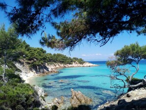 A coastal landscape with clear turquoise waters, rocky shores, and dense pine trees.