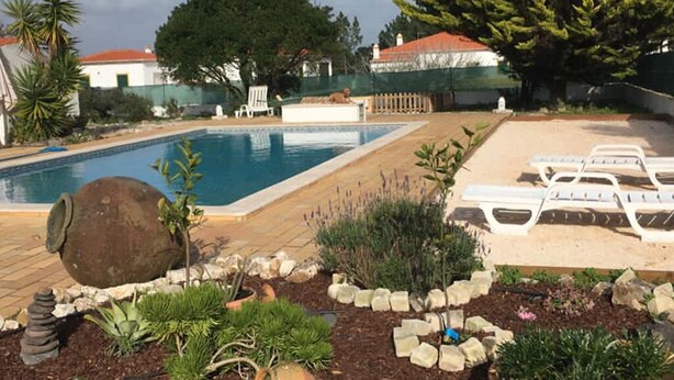 Une piscine entourée de chaises longues, de plantes et d’un grand arbre.