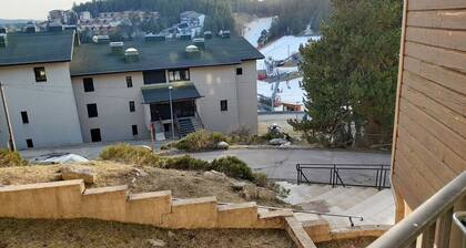 Lovely T2 Cabin Apartment with superb mountain views