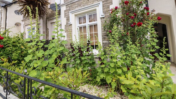 A two-story house with a stone facade, a satellite dish, and a garden with red roses. - Dreytop (Ryde)