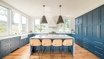 Oven, stovetop, cookware/dishes/utensils