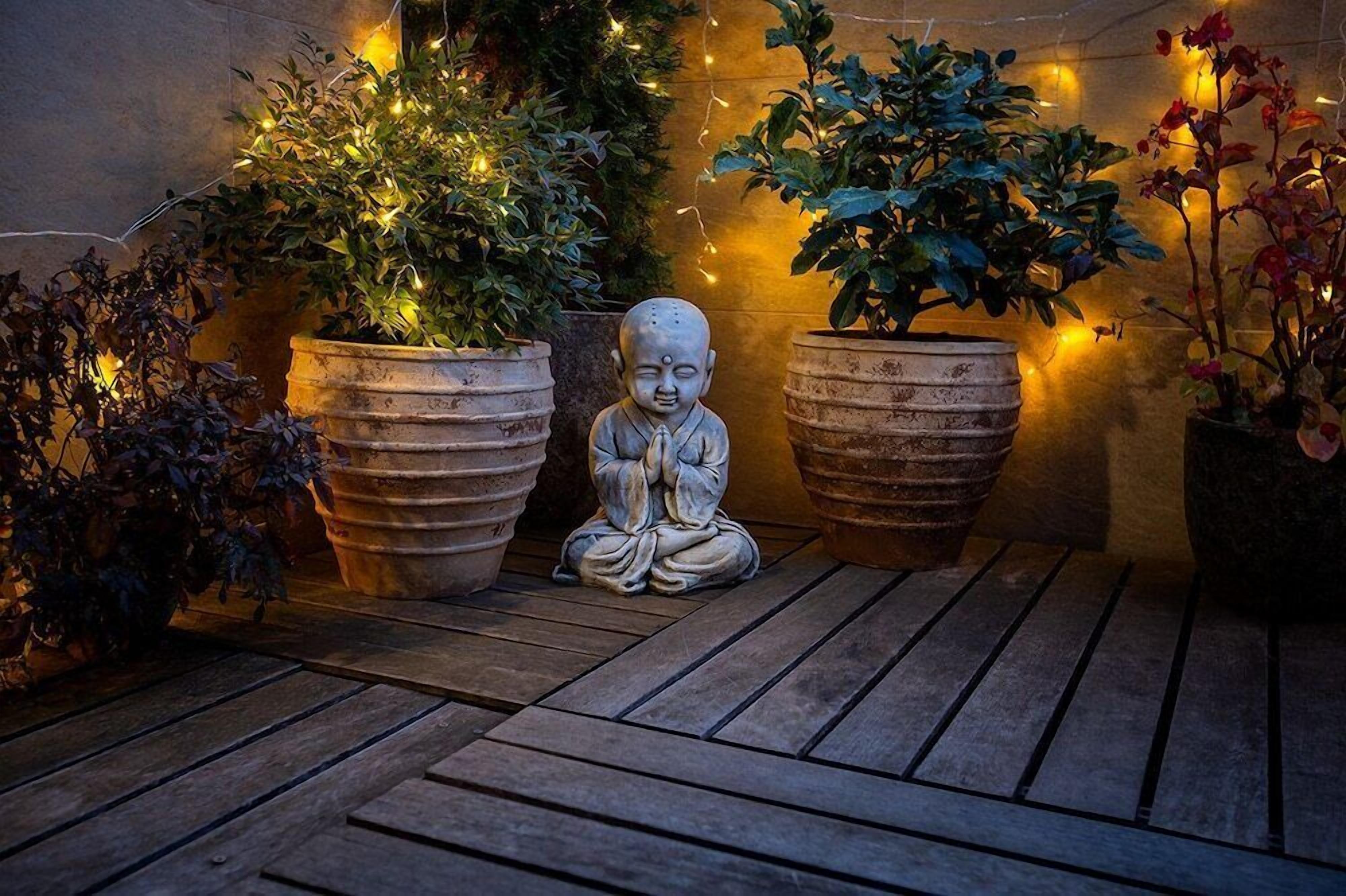 Khuôn viên nơi lưu trú