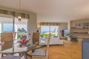 Smart-TV, Kamin