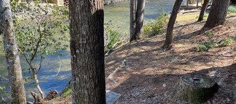 Pine River Cabin, River Front, Catch Release Fishing. Ranch Home, Dogs Ok