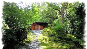 A wooden cabin surrounded by dense forest, accessible via a gravel path. - Blelham Tarn (Rustic yet modern cabin in tranquil woodland with own EV charger) (Ambleside)