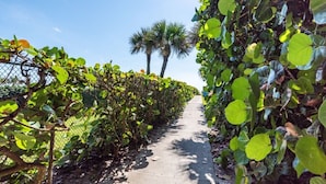 A pathway flanked by dense foliage and a palm tree in the distance. - Sunny Beachside Retreat: Cozy 2 bed Townhouse! (Indialantic)