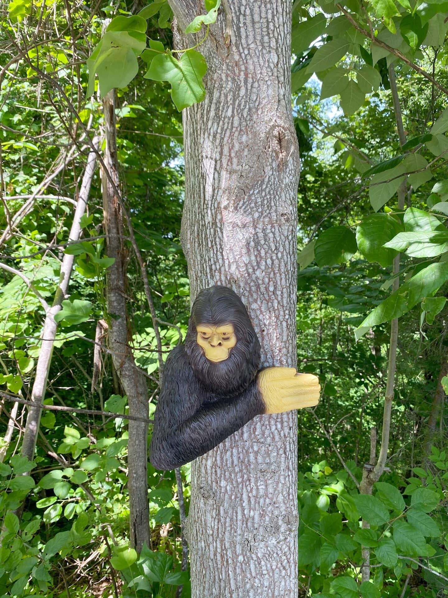 Uma árvore com uma escultura de gorila.