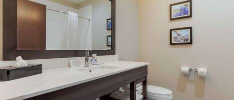 A bathroom with a large mirror, white sink, and a toilet. There are two framed pictures on the wall and a towel rack below the sink.