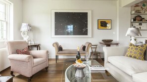 TV, fireplace, DVD player, books - Plum Guide - Sun Swept Loft (London)