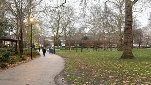 Miscellaneous - Plum Guide - Mustard Seeds (London)