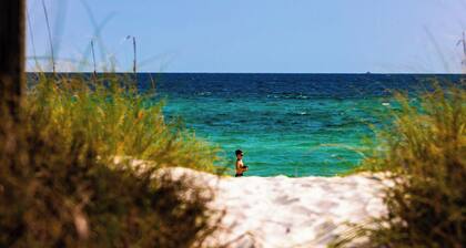 Gulf View Condo with Pool & Grills. Minute walk to Beach. Pet-Friendly!