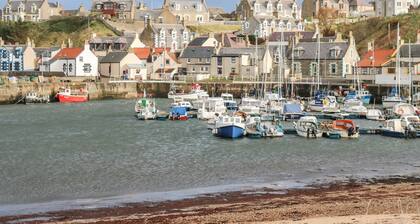 Harbour View