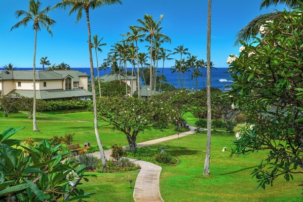 A lush garden with palm trees, a pathway, and a view of the ocean.
