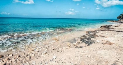 Rainbow Beach Dreams