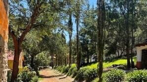 A paved pathway flanked by trees and greenery, leading to a building with a stone facade.