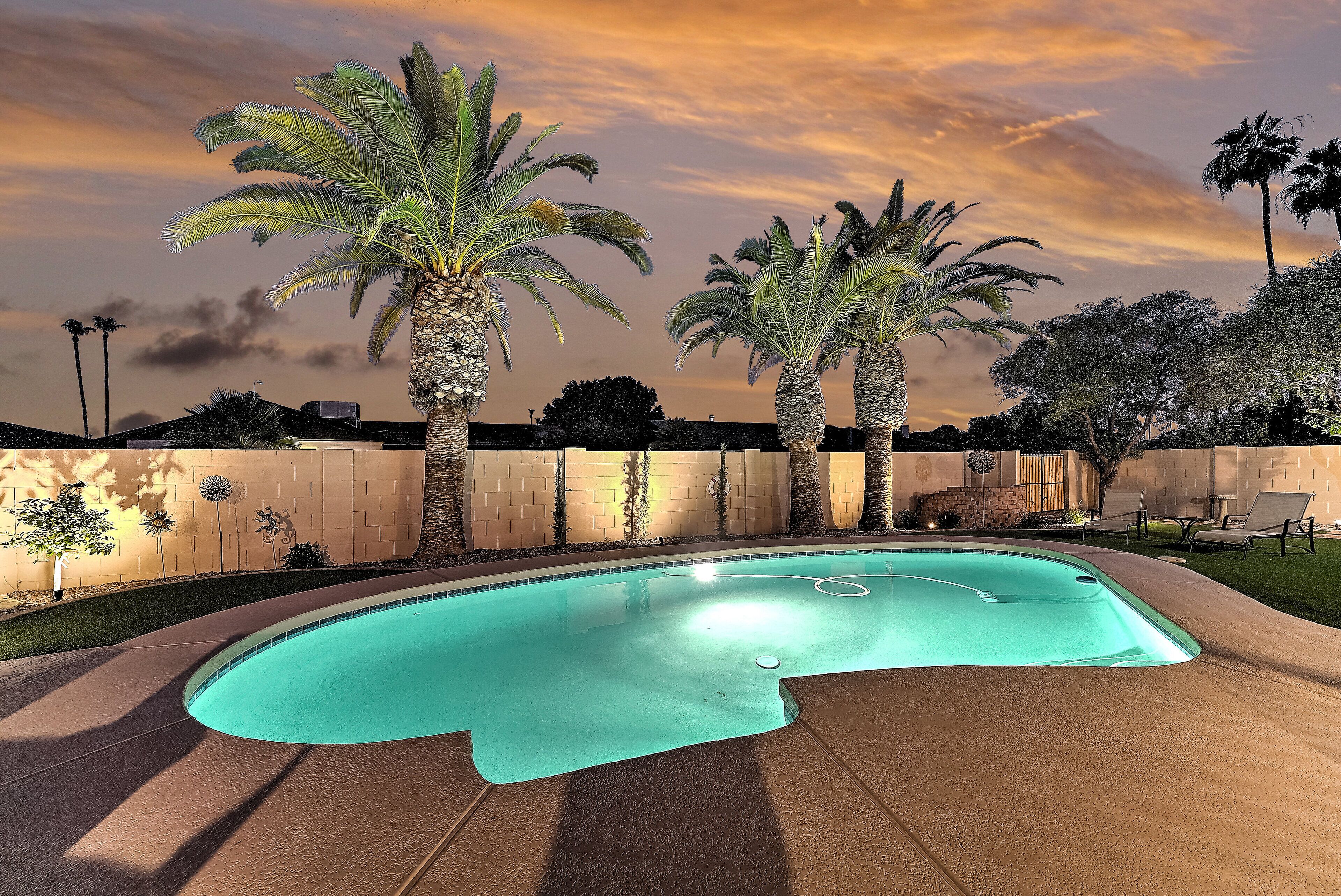 Three Palms in Tempe