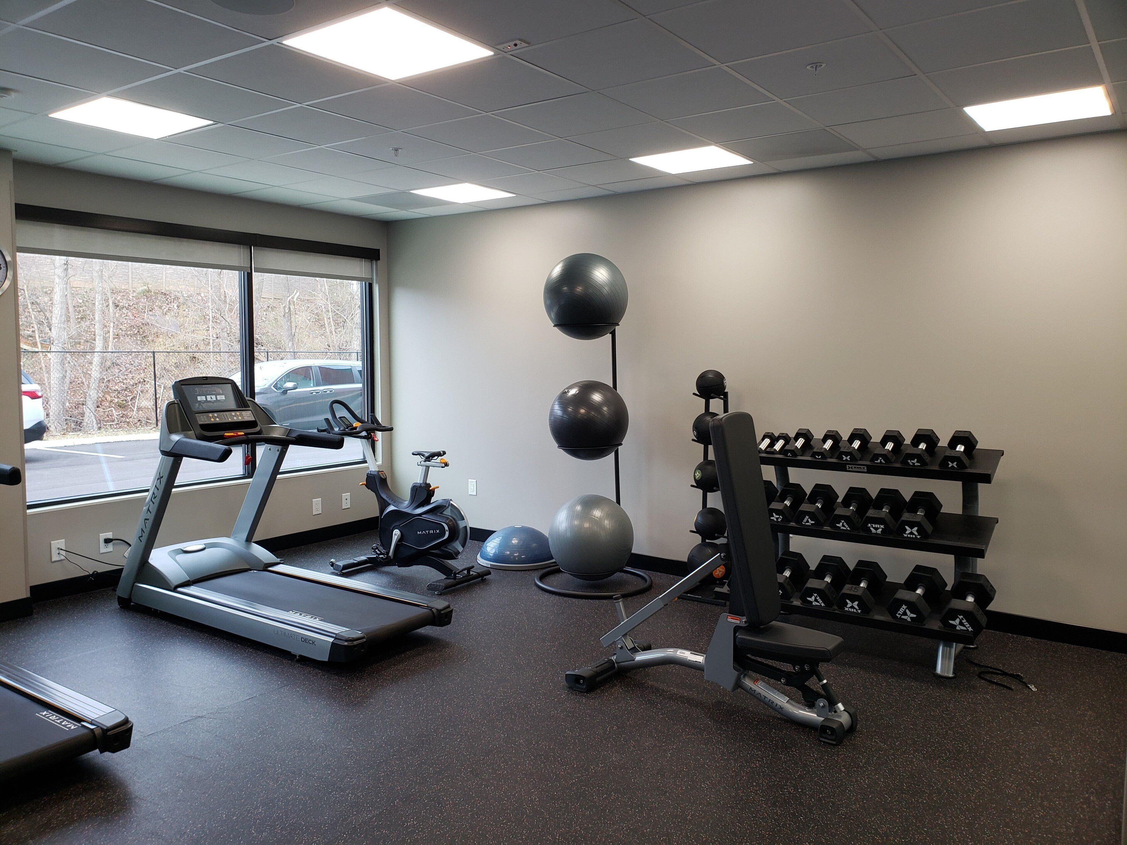 A gym with treadmills, exercise balls, and a rack of dumbbells.