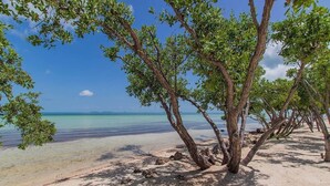 A beach with clear turquoise water and a sandy shore. - Island pool home awaits in Islamorada's Port Antigua (Islamorada)