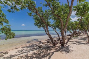 Playa en los alrededores, camastros y toallas de playa 