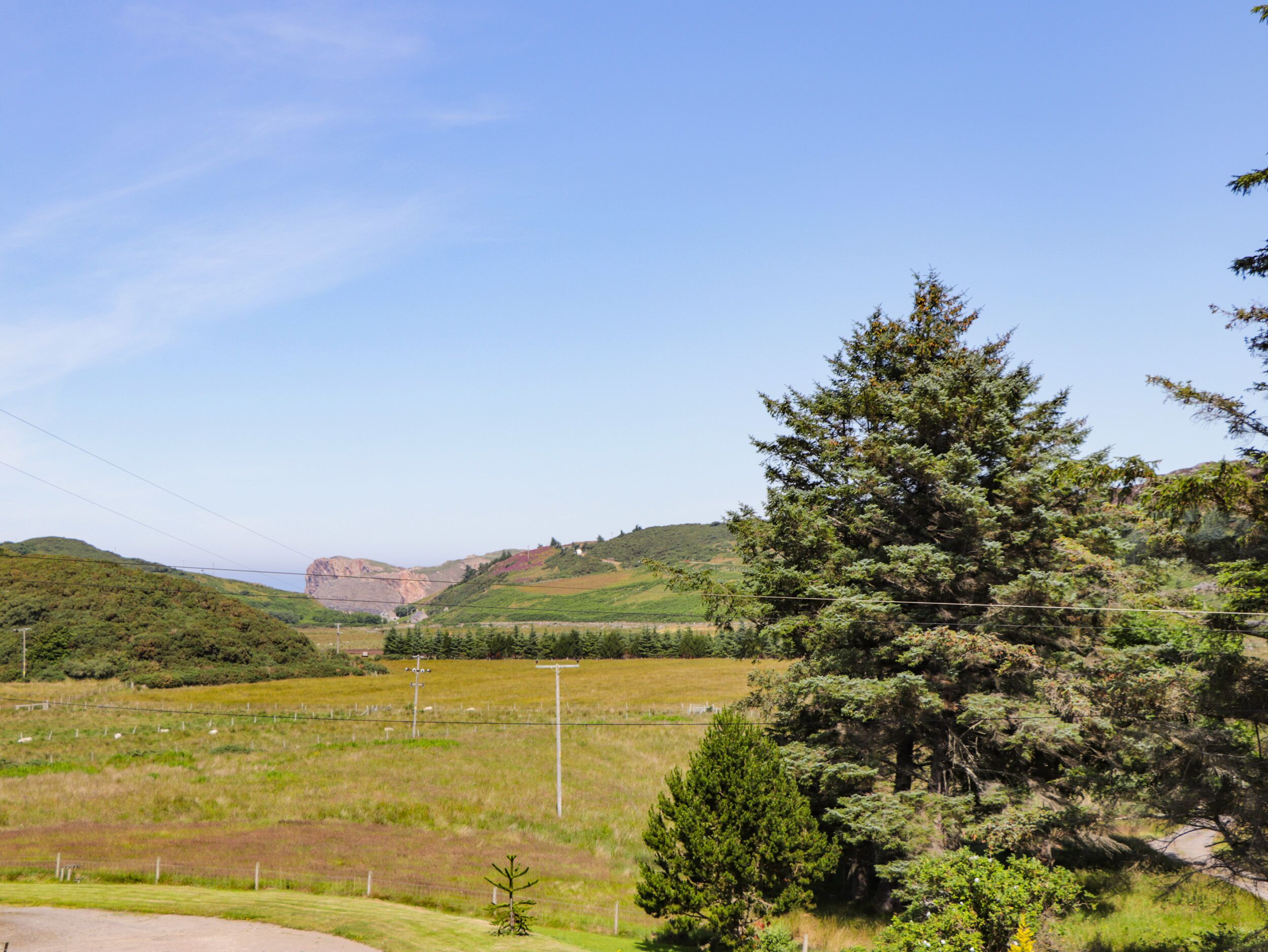 Un paysage rural avec un arbre imposant, une route et des collines à l’horizon.