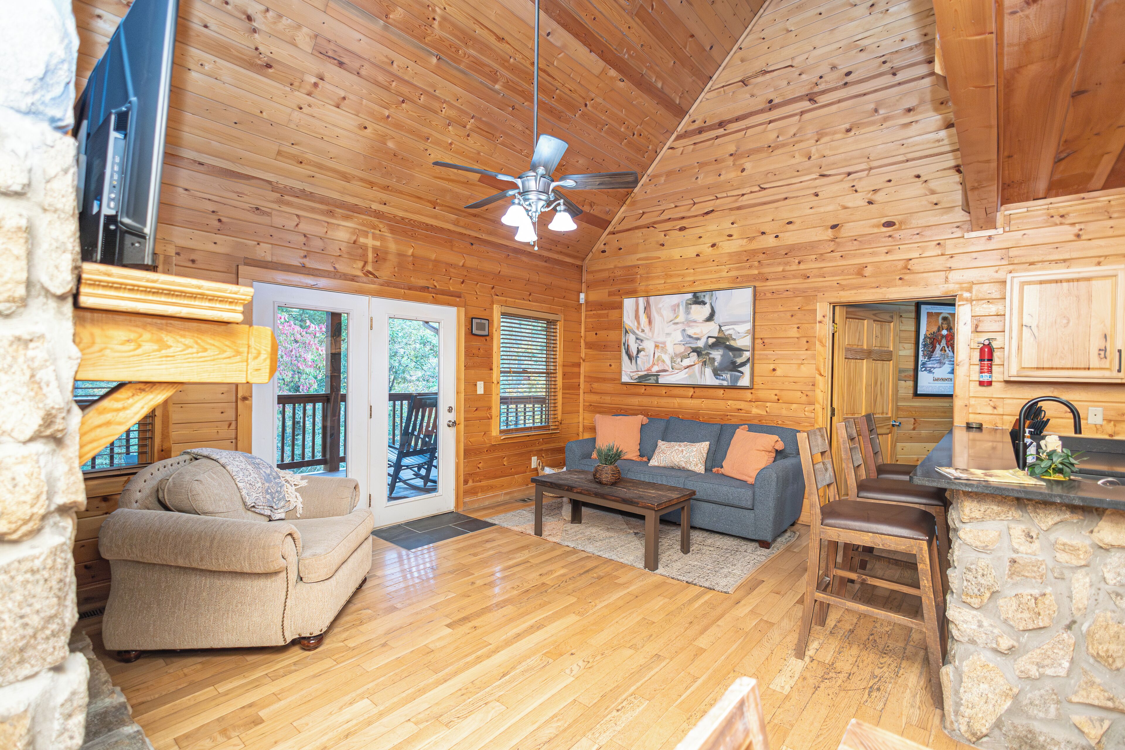 Télévision, cheminée, jeux vidéo