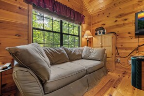 TV, fireplace, DVD player, stereo