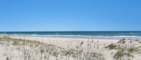 On the beach