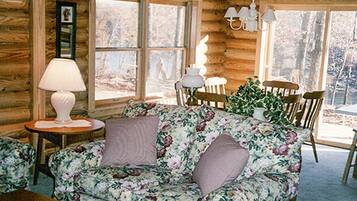 TV, books, video library, stereo