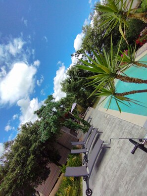 Un área de piscina con sillones de descanso y una palmera.