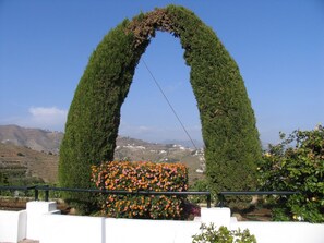 Un área ajardinada con un arco verde y un parterre con flores anaranjadas.