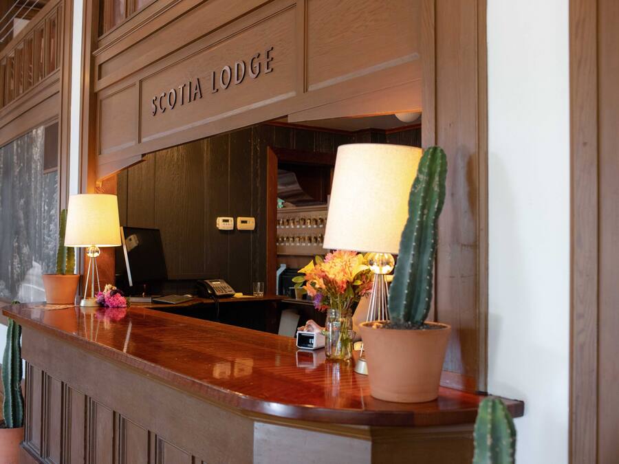 A reception desk at Scotia Lodge with a wooden finish, two lamps, and potted plants including a cactus.