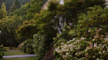 Un jardin bien entretenu, agrémenté de divers arbustes et arbres, avec un chemin pavé et un bâtiment visible au loin.