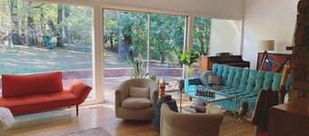 Walk to Campus, Minutes to Square: Entire Home w Spacious Yard, Pet-Friendly!